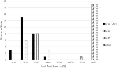 Interactions Between Lr67 or Lr34 and Other Leaf Rust Resistance Genes in Wheat (Triticum aestivum)